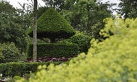 Gartenimpressione