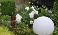 Lichtgestaltung im Garten