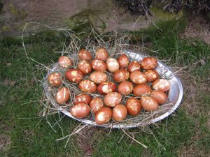 Eier färben mit Zwiebelschalen und Kräutern