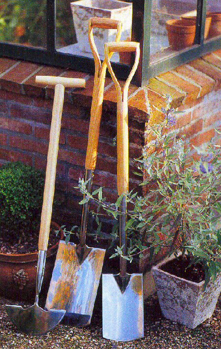 Unser Gartentipp im Juni - Kunkel Garten Otzberg