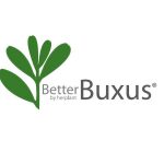 Februar Better Buxus